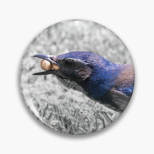 Item preview, Scrub Jay Collecting Bark Butter Bits designed and sold by CarolM.