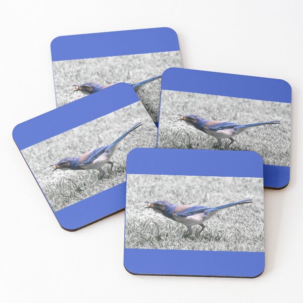 Item preview, Scrub Jay Collecting Bark Butter Bits designed and sold by CarolM.