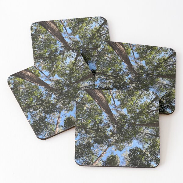 Item preview, Trees Looking Up At Sky designed and sold by DrSunflower.