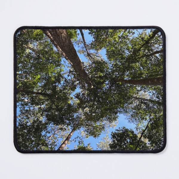 Item preview, Trees Looking Up At Sky designed and sold by DrSunflower.