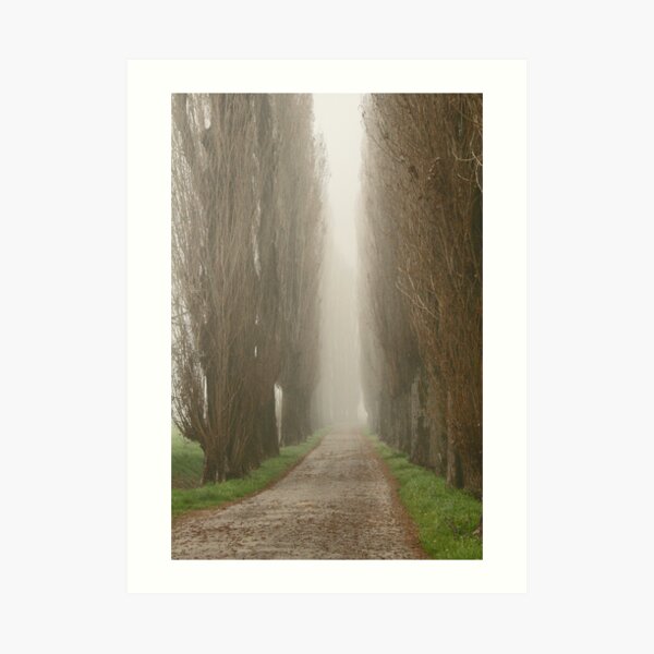 The road less travelled Art Print