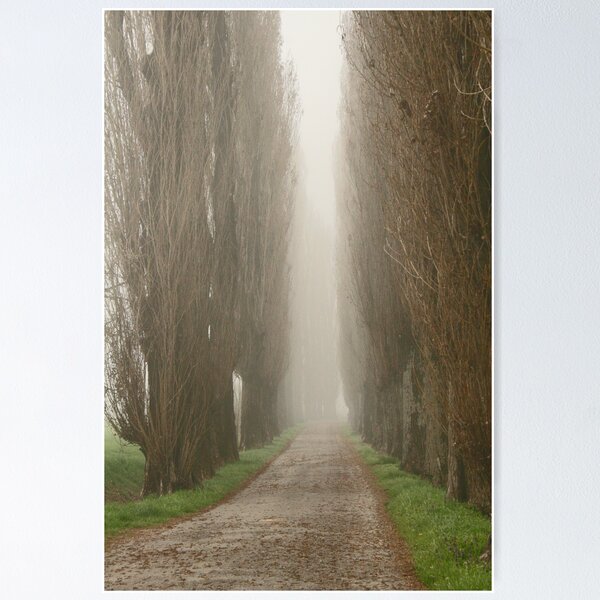 Item preview, The road less travelled designed and sold by Jeanne Horak-Druiff.
