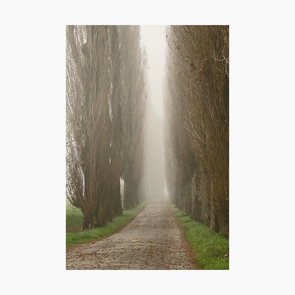 Item preview, The road less travelled designed and sold by Jeanne Horak-Druiff.