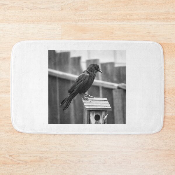 Item preview, No Way, Am I Downsizing designed and sold by CarolM.