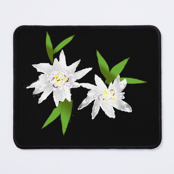 Item preview, Edelweiss flower art alpine flower lover European Alps lover designed and sold by Artstastic.