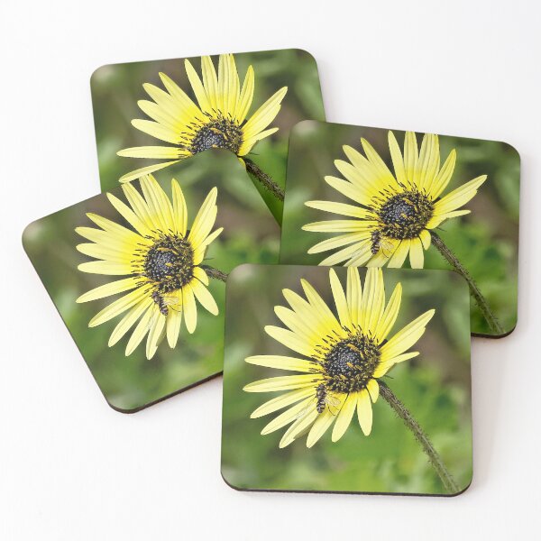 Item preview, Nature 220 designed and sold by kevin Chippindall.