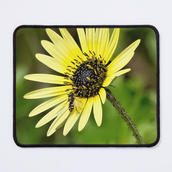 Item preview, Nature 220 designed and sold by kevin Chippindall.