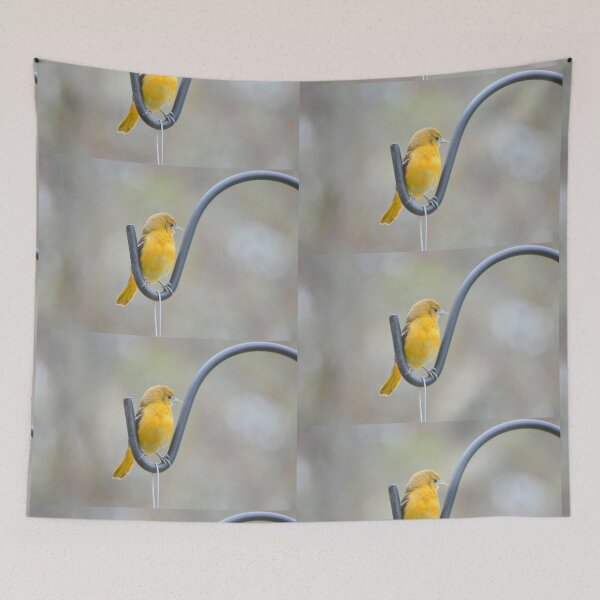Item preview, Oriole joven designed and sold by Laurie Minor.