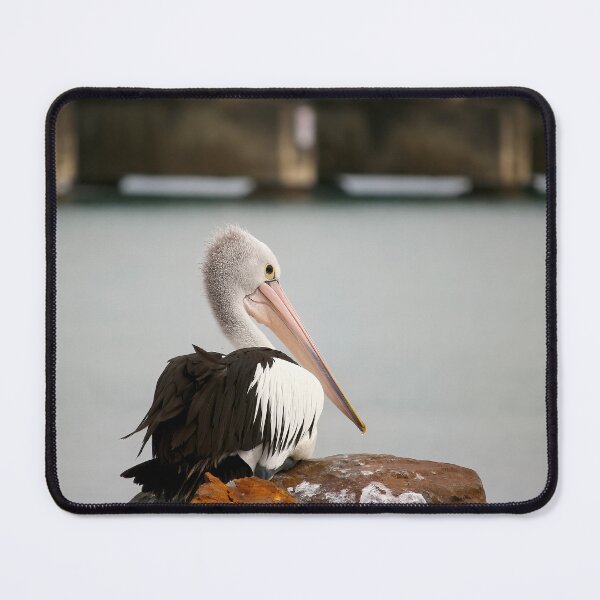 Item preview, Pelican Forster 43 designed and sold by kevin Chippindall.