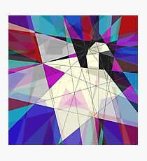Paper Swan Photographic Print
