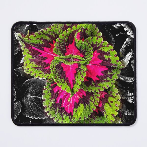 Item preview, The Deconstruction Of The Colors Of A Flower designed and sold by MyPhotoDreams.