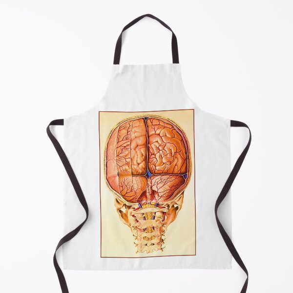 Item preview, Brain Base And Meninges Lithograph designed and sold by MAGGDDigital.