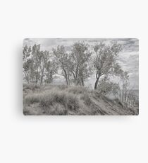 Along Shores of Lake Michigan Canvas Print