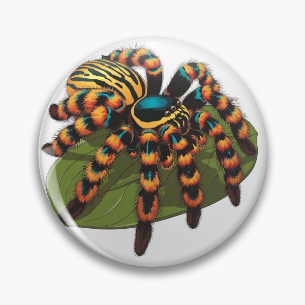 Item preview, Cute tarantulas  designed and sold by itsfoow.