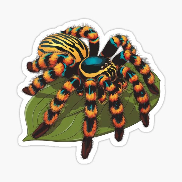 Item preview, Cute tarantulas  designed and sold by itsfoow.
