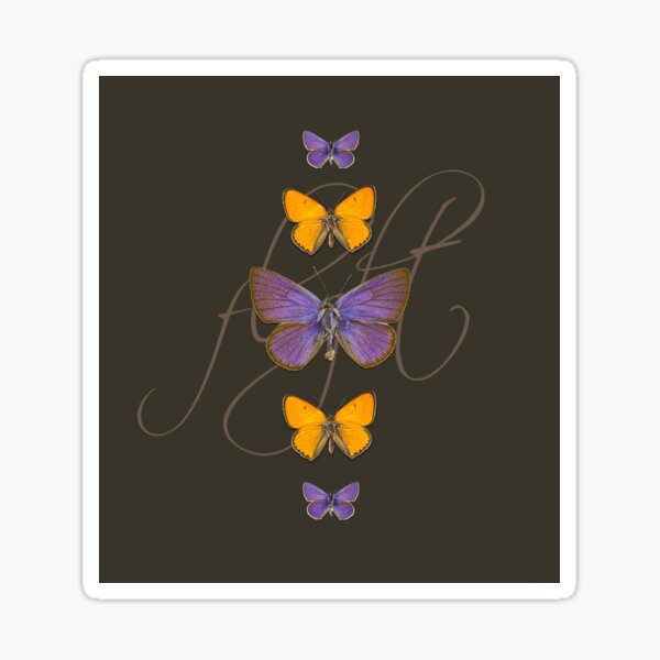 ButterFlight Sticker