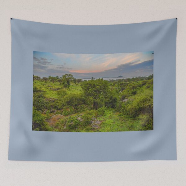 Item preview, Tanzania. Tarangire National Park. Landscape. Sunset. designed and sold by vadim19.