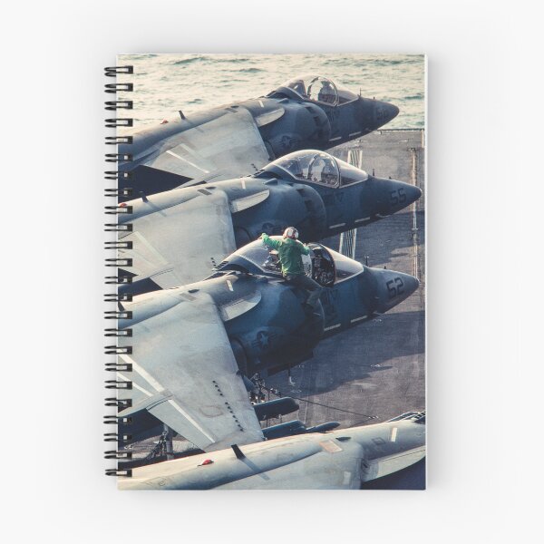Item preview, Harriers on the Saipan designed and sold by Zolachrome Photography.