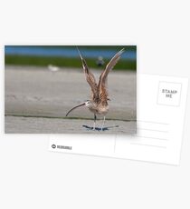 Reach for the sky !! Postcards