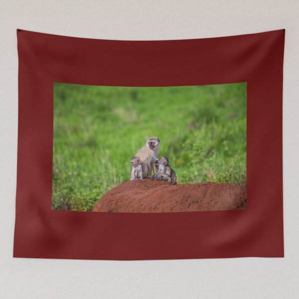 Item preview, Tanzania. Tarangire National Park. Vervet Monkeys. Nursery. designed and sold by vadim19.