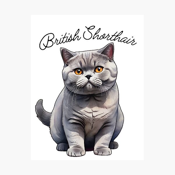 Item preview, Grey Cat British Shorthair  designed and sold by Playful Strokes.