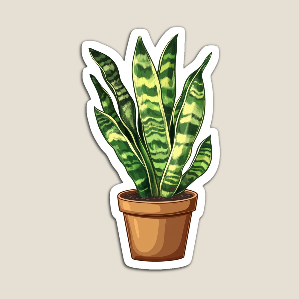 Sansevieria Laurentii in Pot Magnet