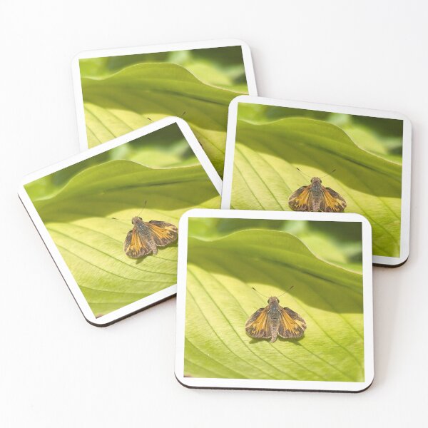 Item preview, Zabulon Skipper designed and sold by Bug Shots.