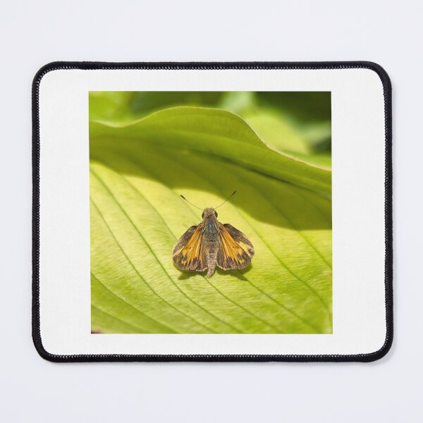 Item preview, Zabulon Skipper designed and sold by Bug Shots.