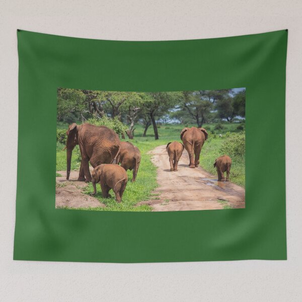 Item preview, Tanzania. Tarangire National Park. Elephants. designed and sold by vadim19.