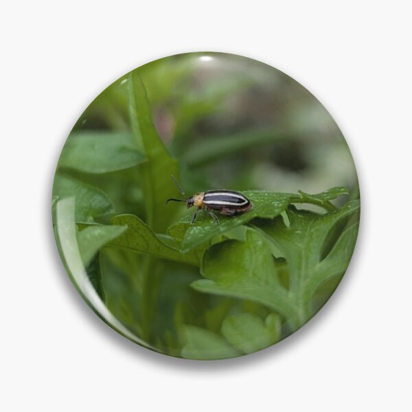 Item preview, Pigweed Flea Beetle designed and sold by Bug Shots.