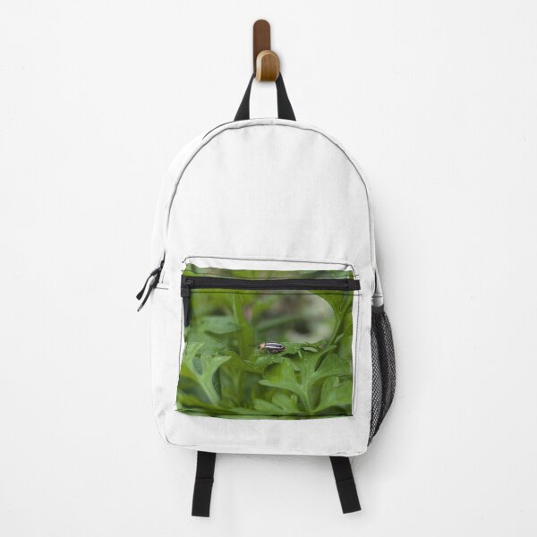 Item preview, Pigweed Flea Beetle designed and sold by Bug Shots.