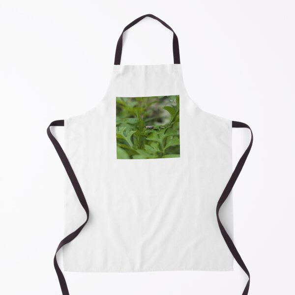 Item preview, Pigweed Flea Beetle designed and sold by Bug Shots.
