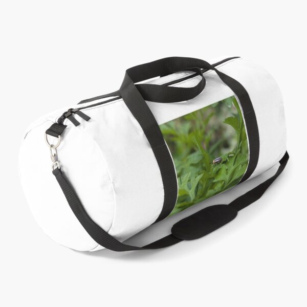 Item preview, Pigweed Flea Beetle designed and sold by Bug Shots.