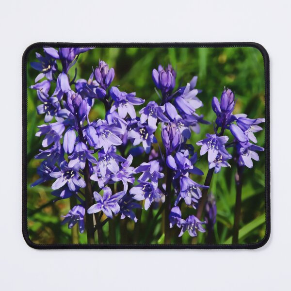 Item preview, Bluebells designed and sold by Dorset Girl.