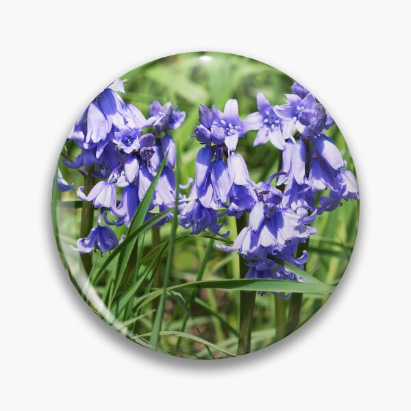 Item preview, Bluebells - Hyacinthoides-hispanica designed and sold by Dorset Girl.