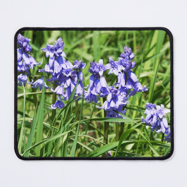 Item preview, Bluebells - Hyacinthoides-hispanica designed and sold by Dorset Girl.