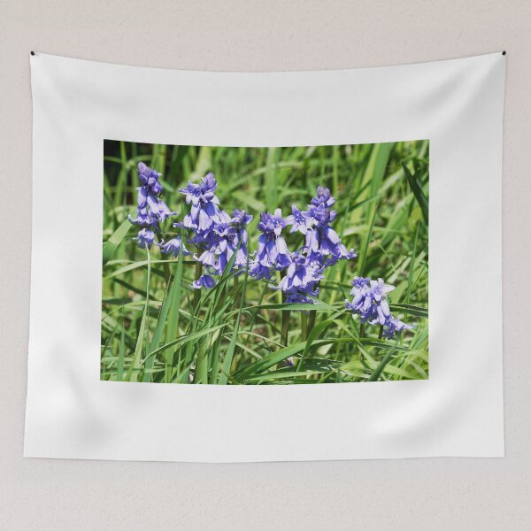 Item preview, Bluebells - Hyacinthoides-hispanica designed and sold by Dorset Girl.