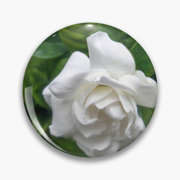 Item preview, Remembering Billie Holiday designed and sold by heatherfriedman.