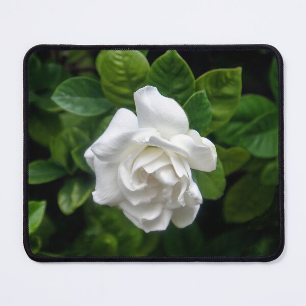 Item preview, Remembering Billie Holiday designed and sold by heatherfriedman.