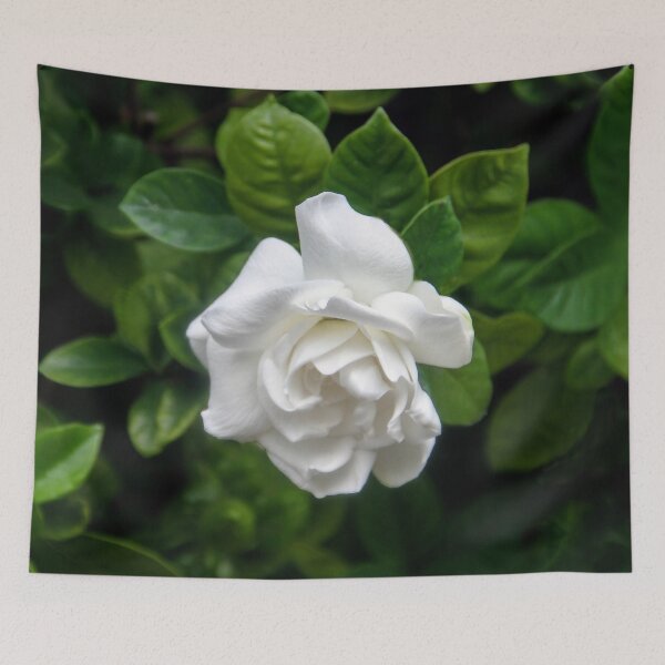 Item preview, Remembering Billie Holiday designed and sold by heatherfriedman.
