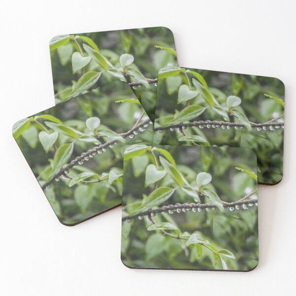 Item preview, Raindrops designed and sold by heatherfriedman.