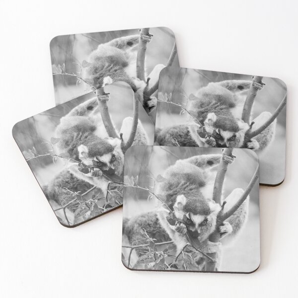 Item preview, Lemur on a Tree designed and sold by Stone & Sky Photography.