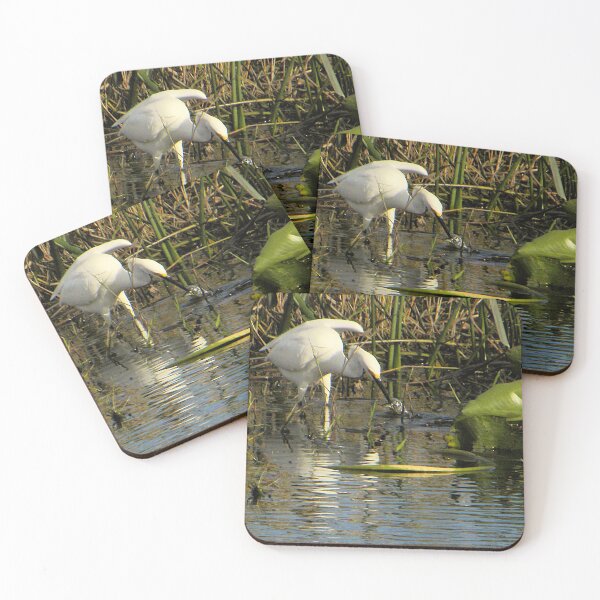 Item preview, Striking Snowy Egret designed and sold by MercerImages.
