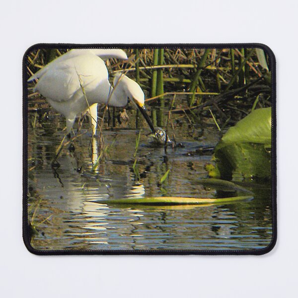 Item preview, Striking Snowy Egret designed and sold by MercerImages.