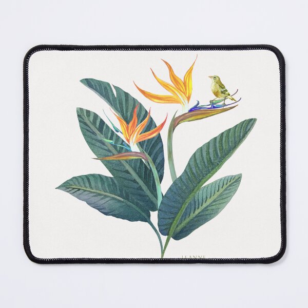 Item preview, Bird of Paradise Strelitzia designed and sold by Leanne Nowell.