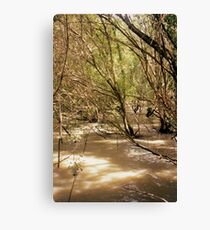 Mangroves Canvas Print