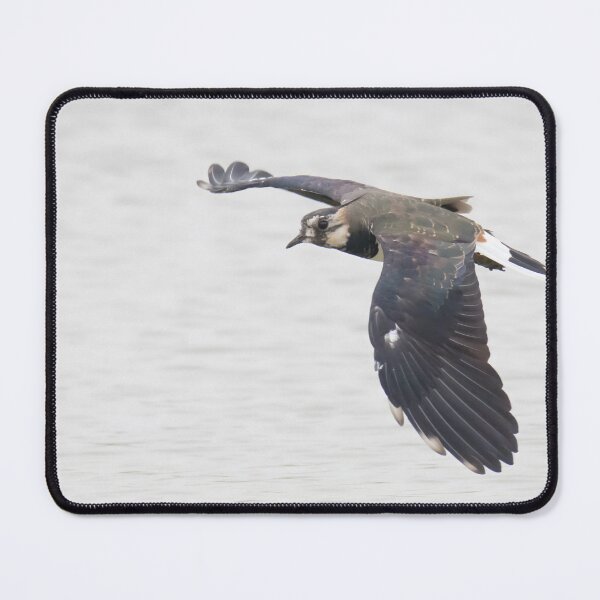 Item preview, Lapwing designed and sold by LaurenTucker.