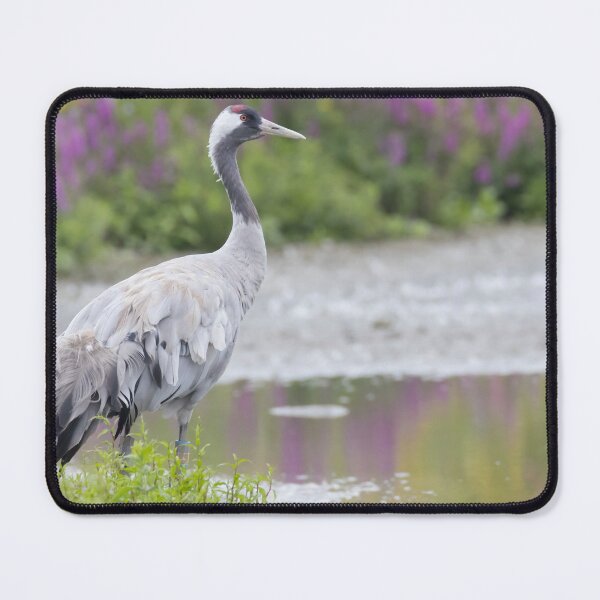 Item preview, Common Crane designed and sold by LaurenTucker.