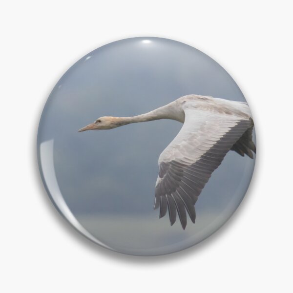 Item preview, Common Crane designed and sold by LaurenTucker.