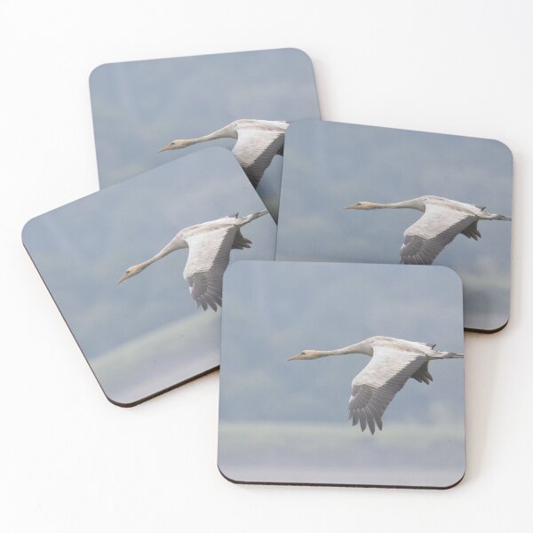 Item preview, Common Crane designed and sold by LaurenTucker.
